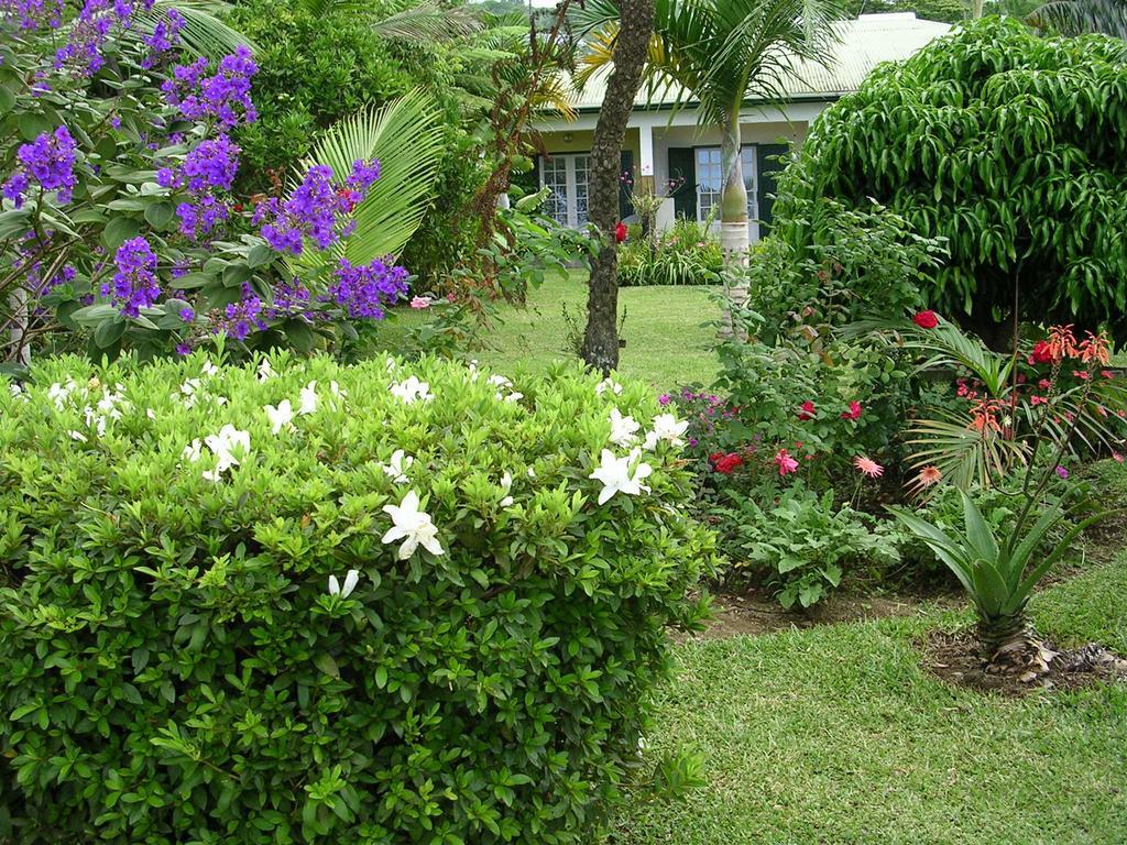 Chez Mamie Acomodação com café da manhã Les Avirons Exterior foto